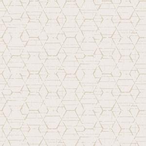 Noordwand Atmosphere Behang met grafische hexagons G78250