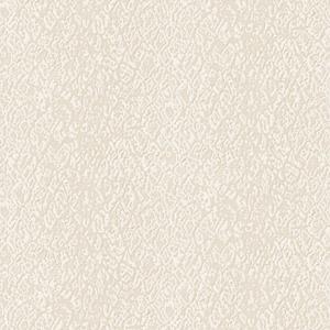 Dutch Wallcoverings Behang Embellish Stripe Design White De120121