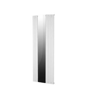 Boss & Wessing Designradiator Plieger Cavallino Retto Specchio 773 Watt Middenaansluiting 180x60,2 cm Donkergrijs