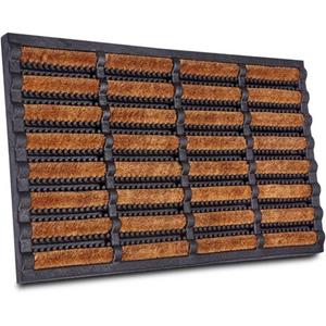 HANSE Home Mat Schmutzfangmatte Brushes Mat