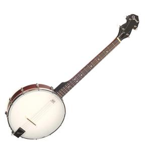 2102T Tenor Banjo with Gig Bag