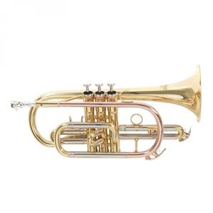 Roy Benson CR202 Bb Cornet Lacquer