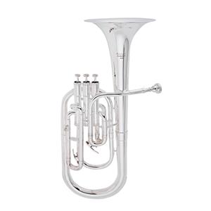 100THS Student Tenorhoorn Zilver