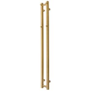 TVS Design Designradiator TVS PLUS 2 Geborsteld Goud 140 x 13.5 cm 