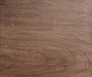 DELIFE Sitzbank Live-Edge 295x40 Akazie Braun Gestell schmal Baumkante