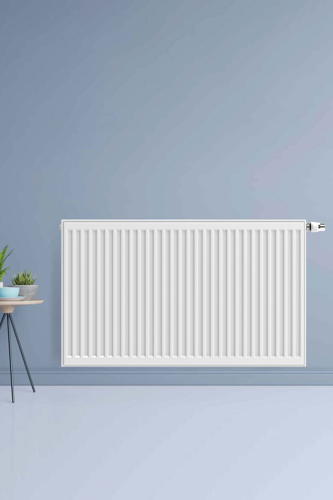 Boss & Wessing Radiator BWS Lucy 60x40 cm 693W Type 22 6 Aansl. Wit
