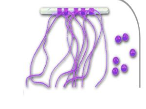 Fish Stoppers on tube Small