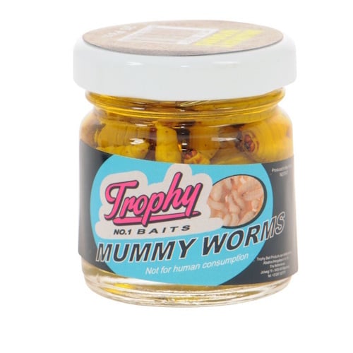 Mummy Worms geconserveerde wasmotten - verkrijgbaar in White, Yellow, Red, Green en Orange (25 stuks) Yellow 25 Stuks