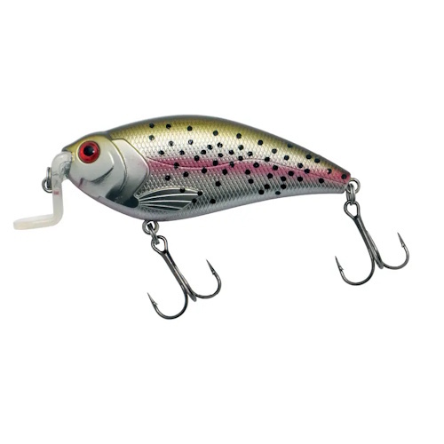 Predox XS-Pro Super Bee 9,2CM 17g - drijvende plug met krachtige actie en holografische afwerking Trout