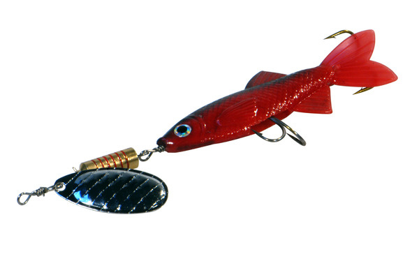 ALBATROS Follow-Bigfish Bladmaat 3 Red