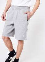 Adidas Shorts 3-Stripe, medium grey