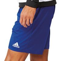 Nike Broek Parma 16 Short WB