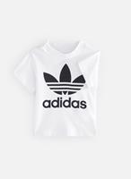 T-shirt Korte Mouw adidas MAELYS