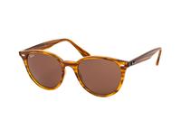 Ray-Ban RB4305 820/73 53 mm