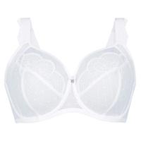 rosafaia Rosa Faia Selma Big Cup Underwire Bra 