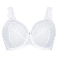 Rosa Faia Selma Big Cup Underwire Bra 