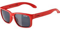 Alpina Sonnenbrille Mitzo red rot