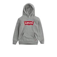 Levi'sÂ Kids Kapuzenpullover  grau 