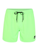 Quiksilver Boardshort Everyday 15"