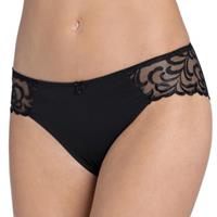 Triumph Modern Finesse Tai 