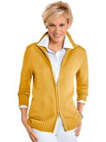 Casual Looks Vest