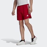 adidas - Condivo 20 Shorts - Voetbalshorts