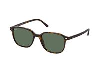 Ray-ban Leonard RB 2193 902/31