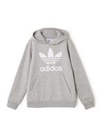 Adidas Originals Kapuzensweatshirt TREFOIL HOODIE