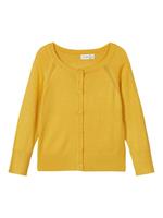 name it Cardigan NMFVIONI Spicy Mustard