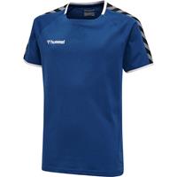hummel Kinder t-shirt training hmlauthentic
