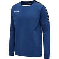 Hummel hmlAUTHENTIC TRAINING SWEAT Sweatshirts blau Herren 