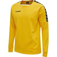 Hummel hmlAUTHENTIC TRAINING SWEAT Sweatshirts gelb Herren 