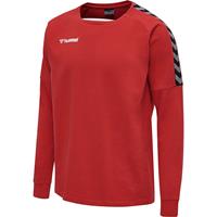 Hummel hmlAUTHENTIC TRAINING SWEAT Sweatshirts rot Herren 