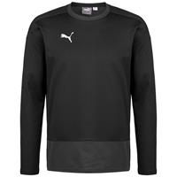 Puma teamGOAL 23 Trainingssweat Herren Sweatshirts schwarz Herren 