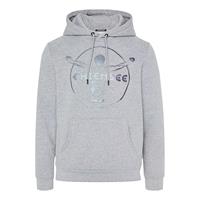 Chiemsee Sweatshirt mit Kapuze Sweatjacken grau Herren 