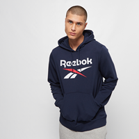 Reebok Kapuzensweatshirt »RI FT OTH BL HOODIE«