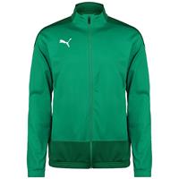 Puma TeamGOAL 23 Trainingsjacke Herren Sweatjacken dunkelgrün Herren 