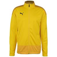 Puma TeamGOAL 23 Trainingsjacke Herren Sweatjacken gelb Herren 