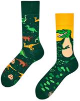 The Dinosaurus sokken