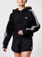 Sweater adidas SHORT HOODIE