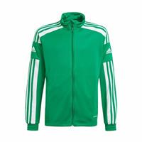 adidas Squadra 21 Trainingsjacke Kinder, grün / weiß