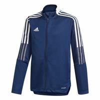 adidas Tiro 21 Trainingsjacke Kinder, blau / weiß