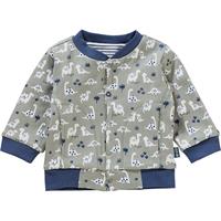 Baby Sweatjacke für Jungen mint Junge 