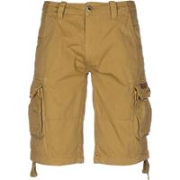 Alpha industries Shorts Jet Shorts braun Herren 