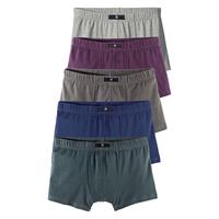 H.I.S Boxer Boxershorts für Jungen petrol Junge 