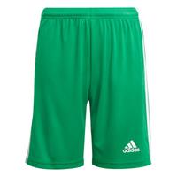 adidas Squadra 21 Fußballshorts Kinder, grün / weiß