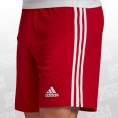 adidas Shorts Squadra 21 - Rood/Wit
