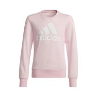 Adidas Big Logo Sweatshirt