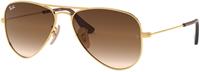 Ray Ban RJ9506S 223/13 52 gold / brown gradient