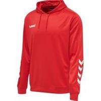 Hummel Promo Poly Hoodie - Rood Kids